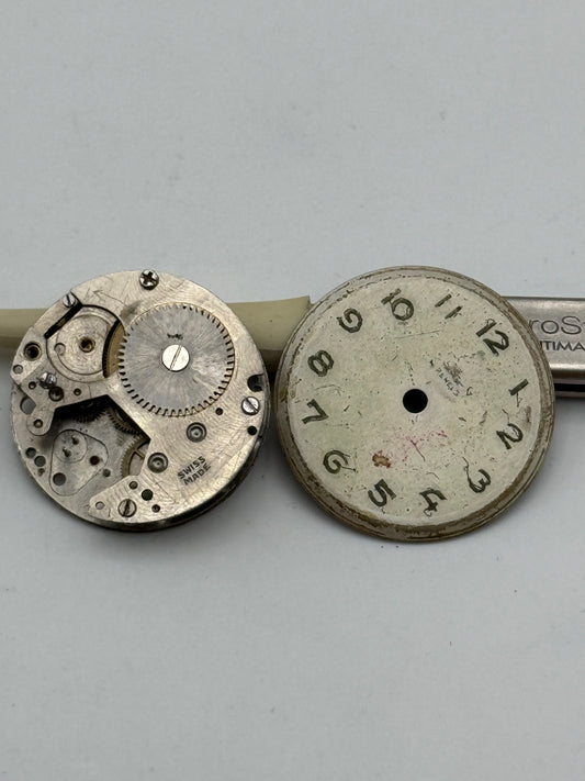 alpina 72 a movement movimento