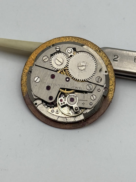 hedy watch lorsa 2321 g 30mm movement movimento