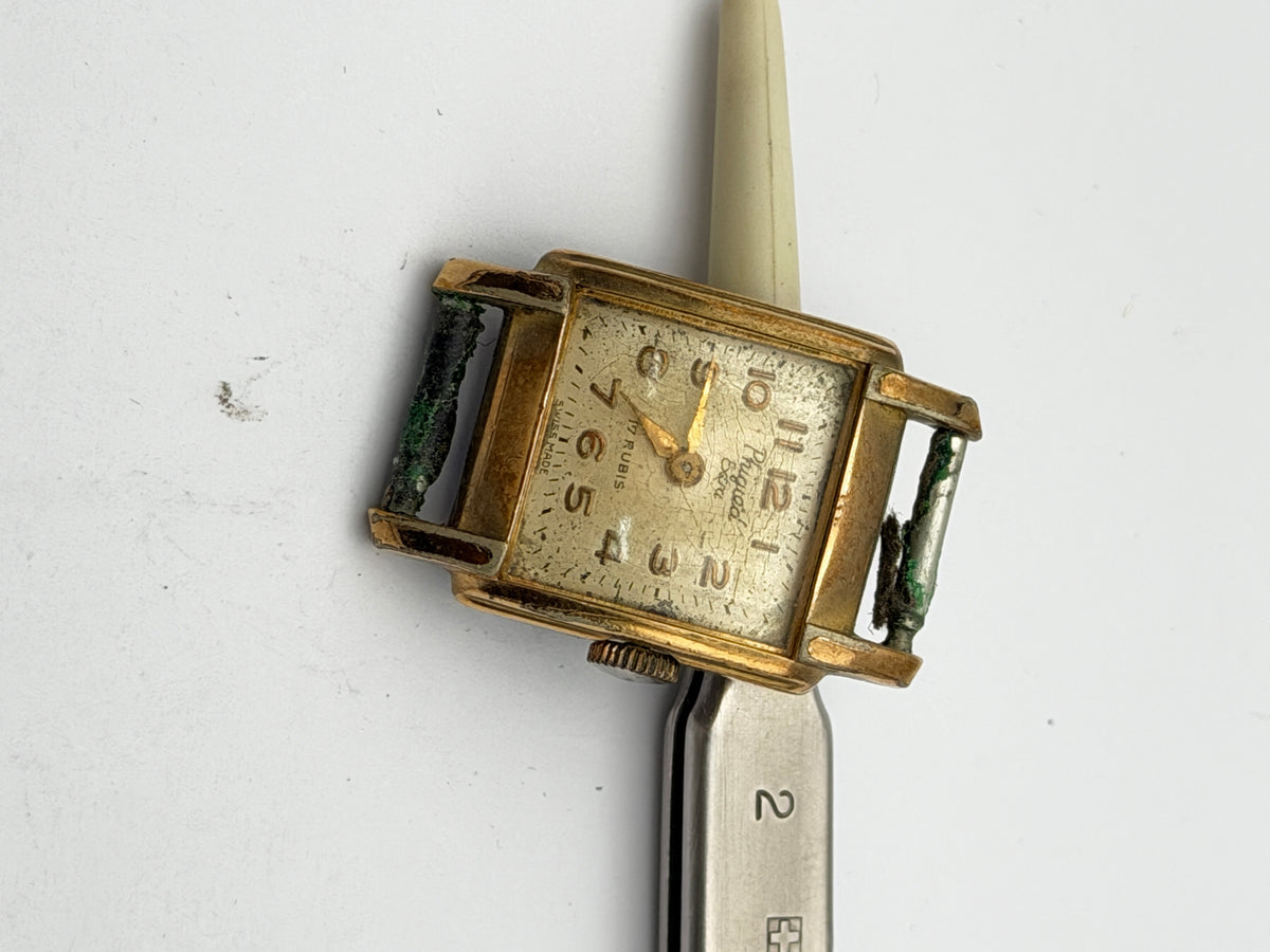 phigied extra 20x30mm
