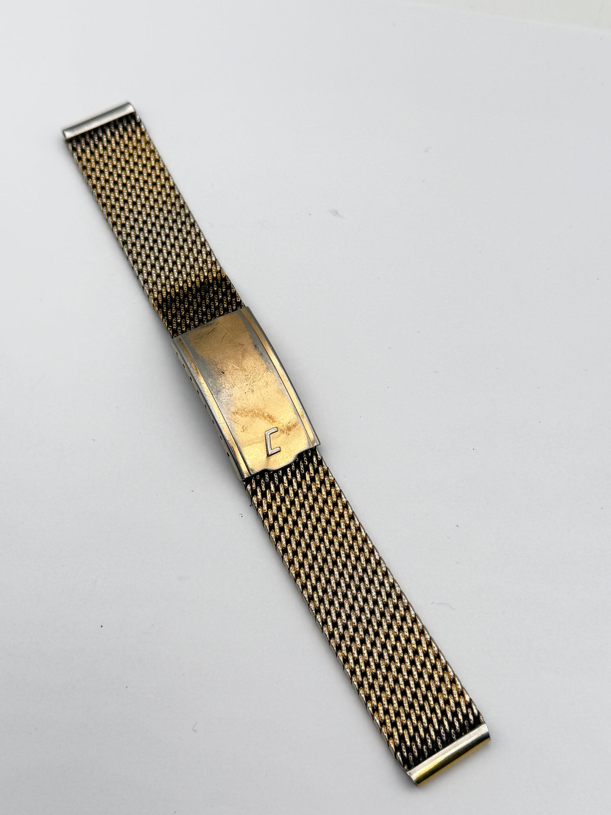 campagnolo citizen 17mm cinturino strap