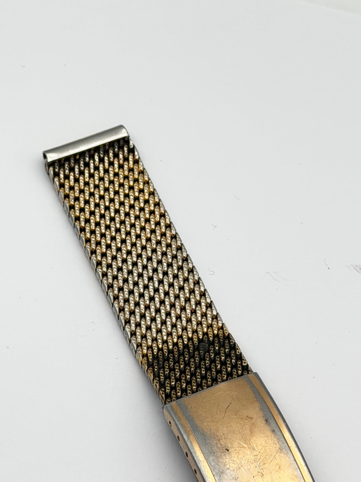 campagnolo citizen 17mm cinturino strap