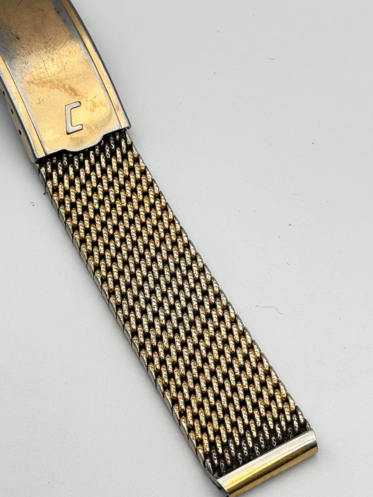 campagnolo citizen 17mm cinturino strap